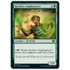 Reckless Amplimancer (foil)