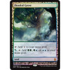 Flooded Grove (Zendikar Expeditions Full Art foil)
