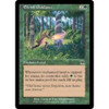 Elvish Guidance