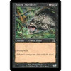Anurid Murkdiver