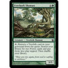 Everbark Shaman  (foil) - Condition: Mint / Near Mint