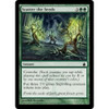 Scatter the Seeds (foil) - Condition: Mint / Near Mint