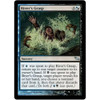 River's Grasp (foil)