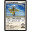 Transcendent Master (foil)