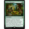 Path of Discovery