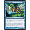 Aquus Steed