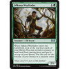 Silhana Wayfinder (foil)