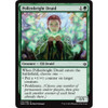 Pollenbright Druid