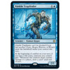 Nimble Trapfinder