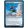 Thieving Skydiver