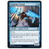 Windrider Wizard