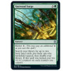 Vastwood Surge