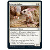 Canyon Jerboa (foil) | Zendikar Rising