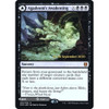 Agadeem's Awakening // Agadeem, the Undercrypt (Zendikar Rising Prerelease foil)
