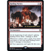Roiling Vortex (Zendikar Rising Prerelease foil)