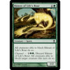 Shinen of Life's Roar (foil)