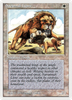 Savannah Lions (Summer Magic)