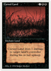 Cursed Land (Summer Magic)