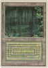 Bayou (Foreign White Border) (French)
