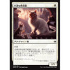 Charmed Stray (Japanese)