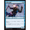 Erratic Visionary (Japanese)