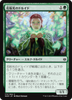Pollenbright Druid (Japanese) | War of the Spark