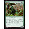 Evolution Sage (Japanese) (foil) | War of the Spark