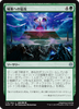 Storm the Citadel (Japanese) (foil)