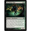 Hag Hedge-Mage