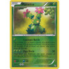 Black & White 12/114 Maractus (Reverse Holo)