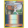 Black & White 101/114 Professor Juniper (Reverse Holo)
