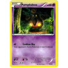Trainer Kit: Noivern Deck 18/30 Pumpkaboo