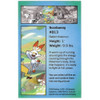 Mini Tin Art Card Galar Pal Scorbunny