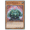 BLLR-EN049 Cactus Bouncer