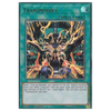 BLLR-EN077 Transmodify