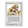 Savannah Lions