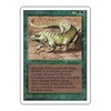 Thicket Basilisk