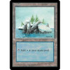 Island (#374)