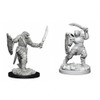 D&D Nolzur's Marvelous Miniatures - Dragonborn Female Paladin (73341)
