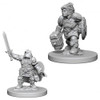 D&D Nolzur's Marvelous Miniatures - Dwarf Female Paladin (72631)