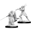 D&D Nolzur's Marvelous Miniatures - Human Female Paladin (73830)