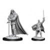 D&D Nolzur's Marvelous Miniatures - Human Male Paladin (90136)