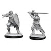 D&D Nolzur's Marvelous Miniatures - Human Male Paladin (90220)