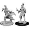 Pathfinder Battles Deep Cuts Unpainted Miniatures (Wave 1) - Elf Female Sorcerer