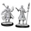 D&D Nolzur's Marvelous Miniatures - Half-Elf Male Wizard (90229)