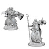 D&D Nolzur's Marvelous Miniatures - Human Male Wizard (72618)