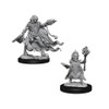 Pathfinder Battles Deep Cuts - Evil Wizards (72586)