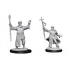 D&D Nolzur's Marvelous Miniatures - Human Male Wizard (90137)