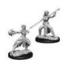 D&D Nolzur's Marvelous Miniatures - Half-Elf Female Monk (73839)