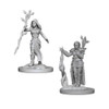 D&D Nolzur's Marvelous Miniatures - Human Female Druid (72640)